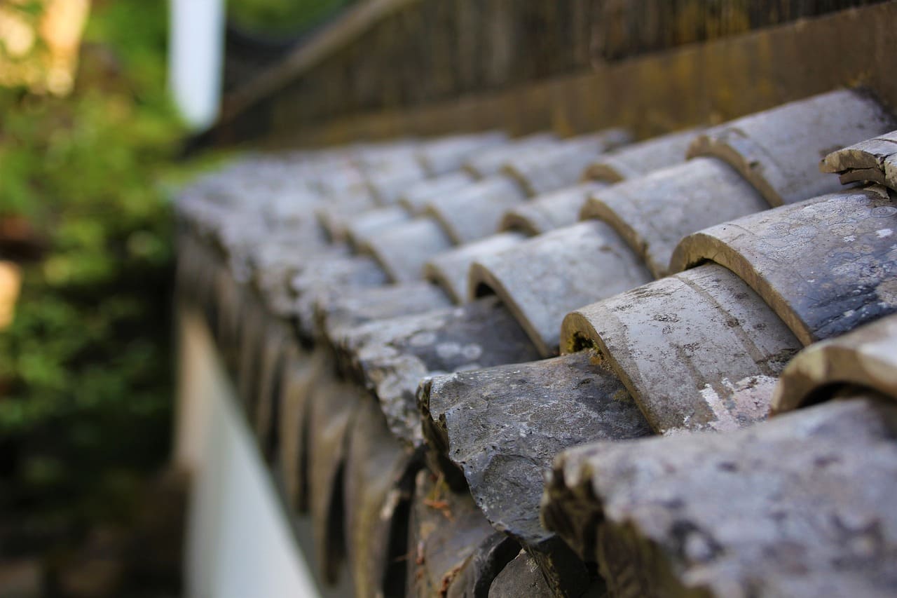 roof-5445235_1280
